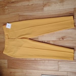 Anne Klein Dress Pants
